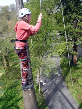 High ropes course at Lledr Hall