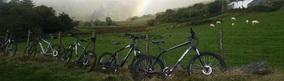 Mountain biking for groups in Snowdonia